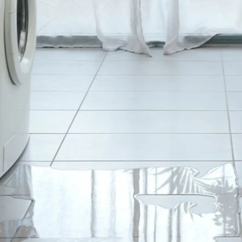 Appliance Leak Cleanup in Sunnyside, CA