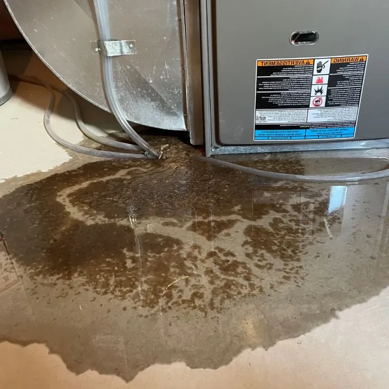 Pipe Burst and Leak Restoration in Sunnyside, CA