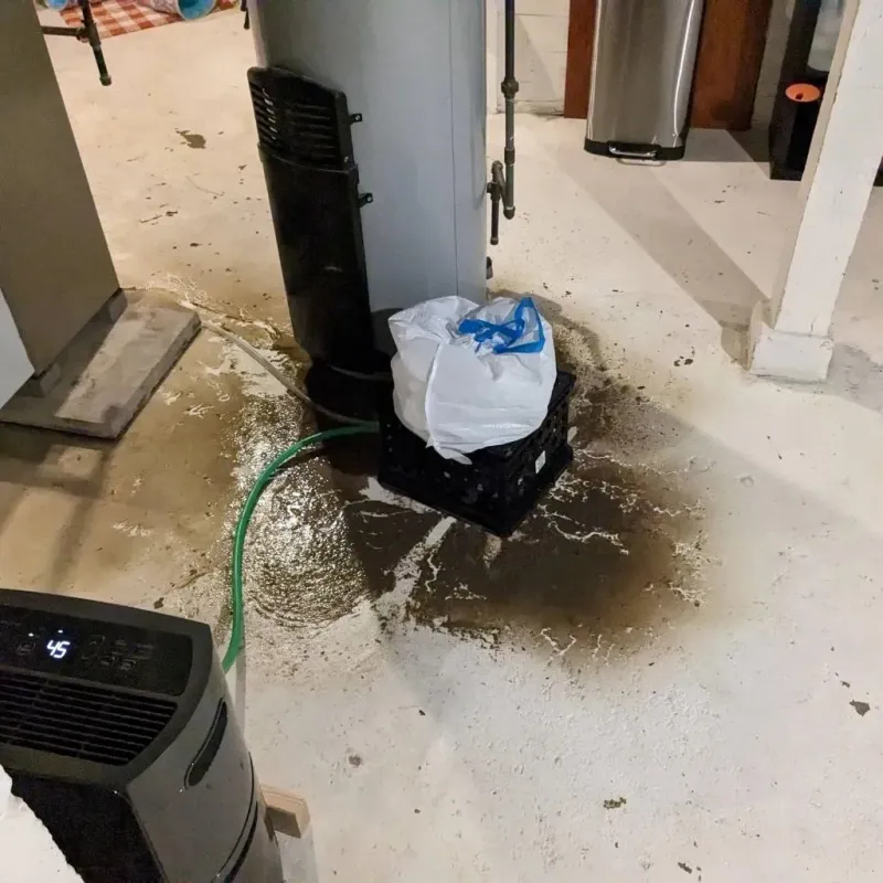 Sewage Backup Cleanup Service in Sunnyside, CA